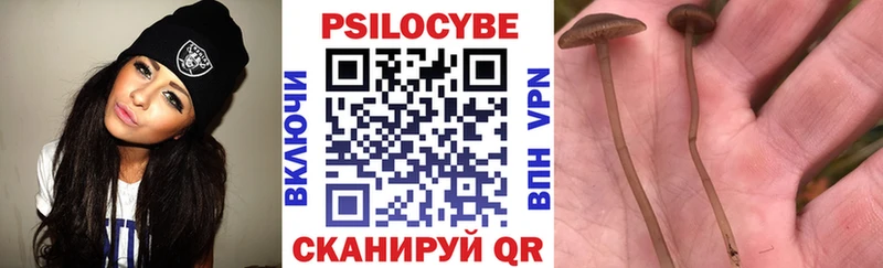 Псилоцибиновые грибы мицелий  Болотное 